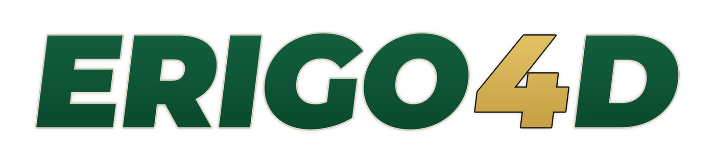 erigo4d logo